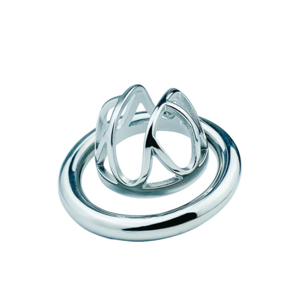Steel Tiny Chastity Cage (teaser with screw lock) - Image 2