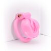 Sissy Pussy Cage - Image 8