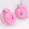 Sissy Pussy Cage - Image 6