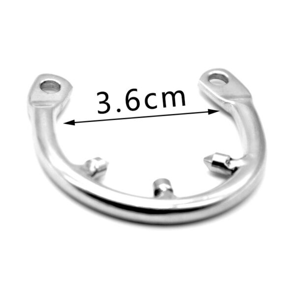 Ring of Torment - Image 5